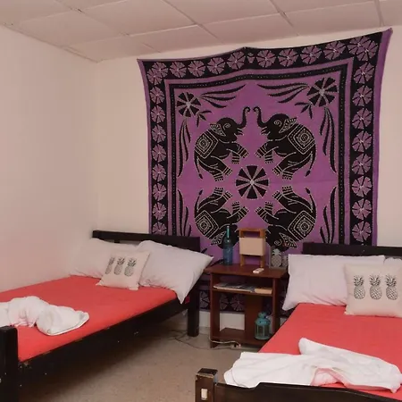 Mystic House Hostel *